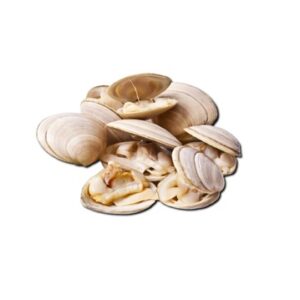 Cietgliemenes (clams) 60/80 pagatavotas saldētas, 1kg (10kg/kaste)